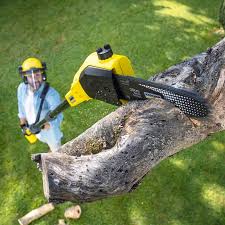 Lawn Irrigation Installation and Maintenance in Smithfield, VA